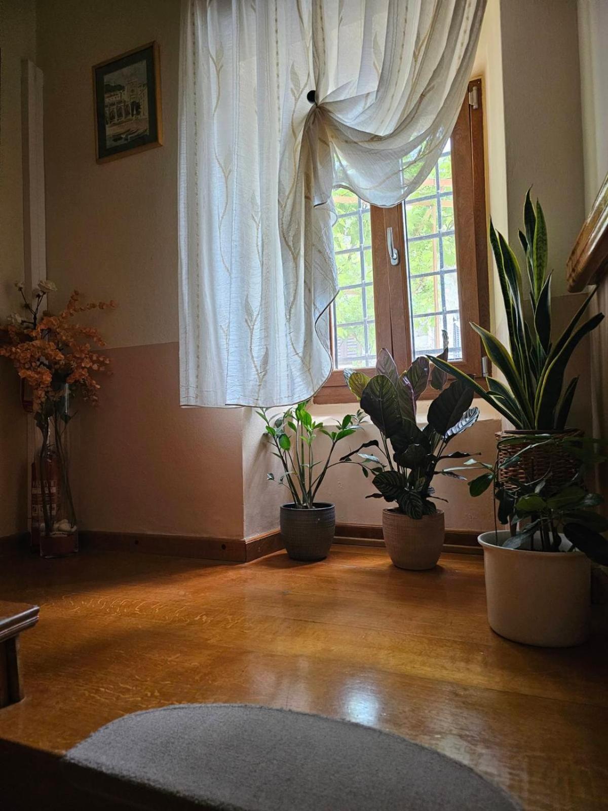 Guesthouse Villa Marija Motovun Zewnętrze zdjęcie